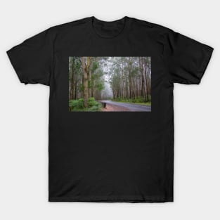 Tall gum trees on foggy Great Ocean Road, Australia. T-Shirt